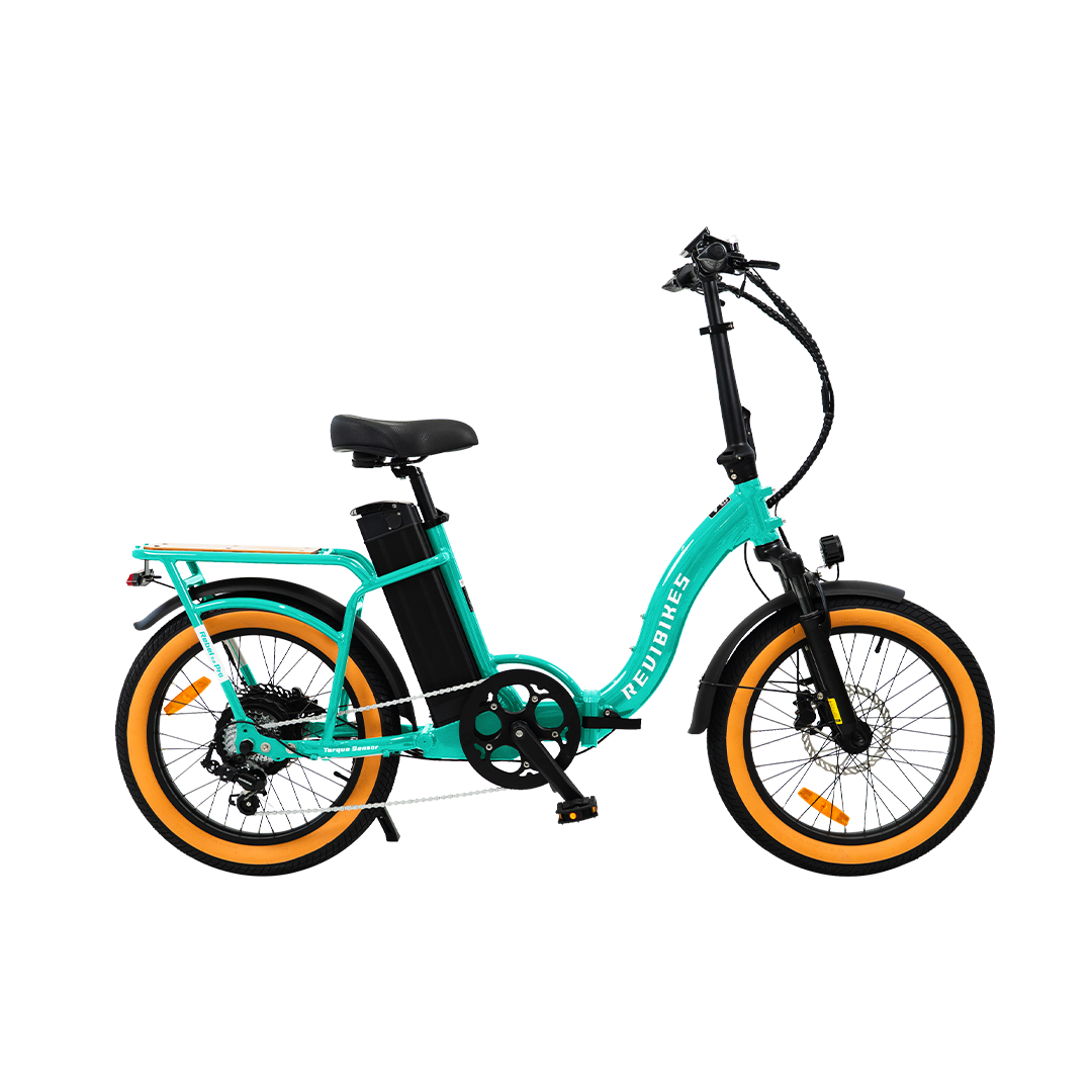 Roots Rider Rebel 2 Pro long range electric bike product image