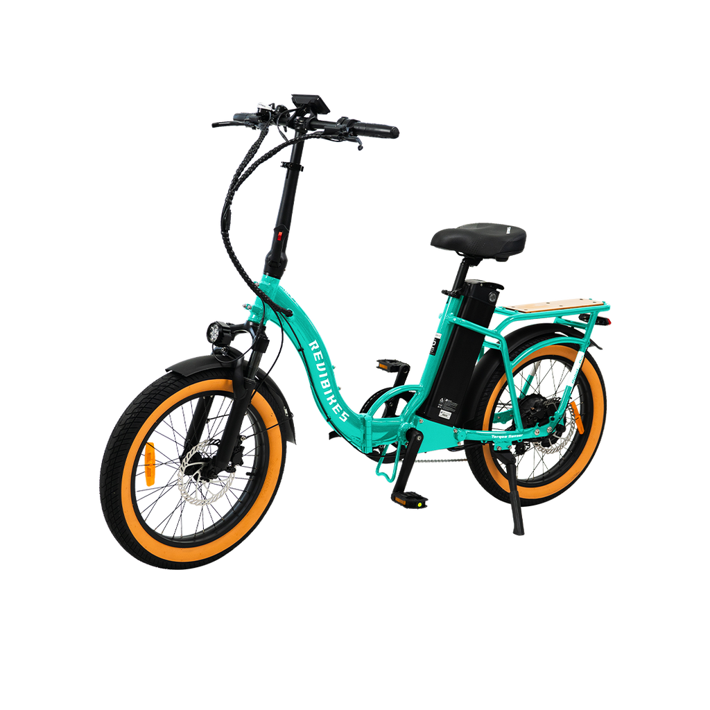 Roots Rider Rebel 2 Pro long range electric bike product image