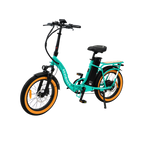 Roots Rider Rebel 2 Pro long range electric bike product image