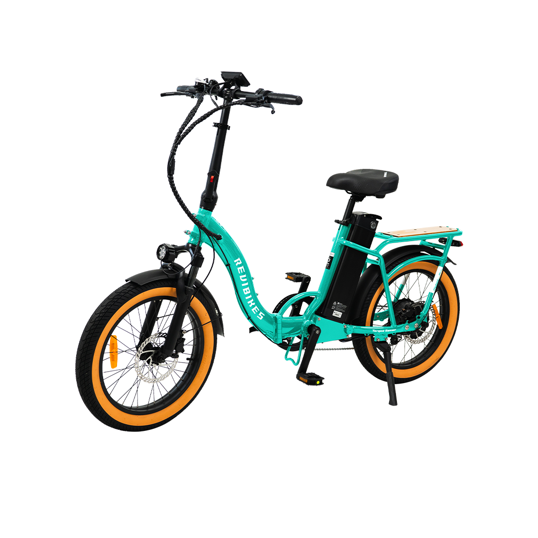 Roots Rider Rebel 2 Pro long range electric bike product image