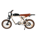 Roots Rider Cougar moped style fat tire electric bike product image