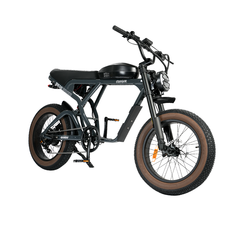 Roots Rider Cougar moped style fat tire electric bike product image