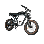 Roots Rider Cougar moped style fat tire electric bike product image