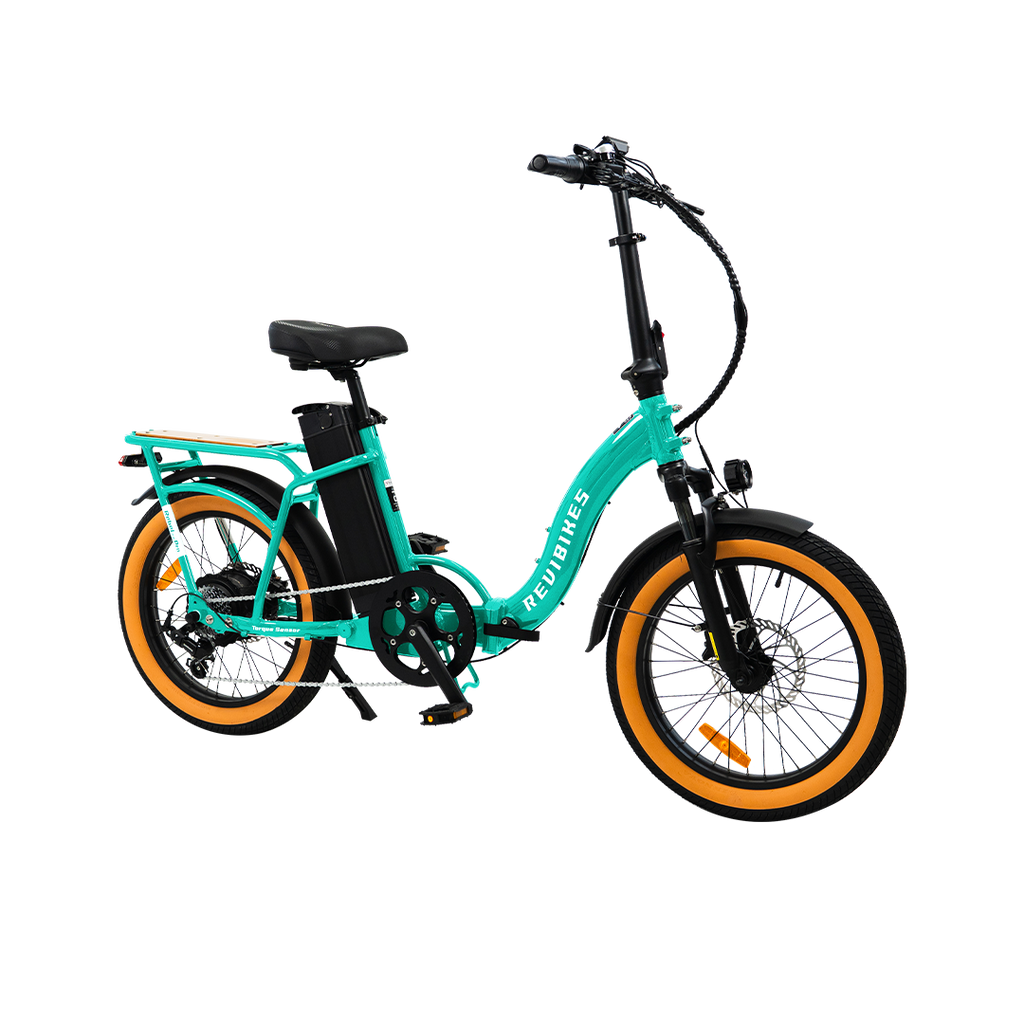 Roots Rider Rebel 2 Pro long range electric bike product image