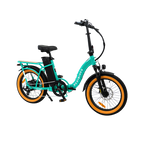 Roots Rider Rebel 2 Pro long range electric bike product image