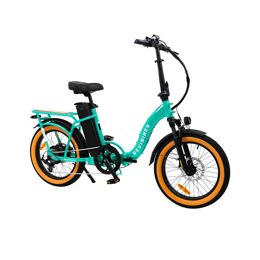 Roots Rider Rebel 2 Pro long range electric bike product image
