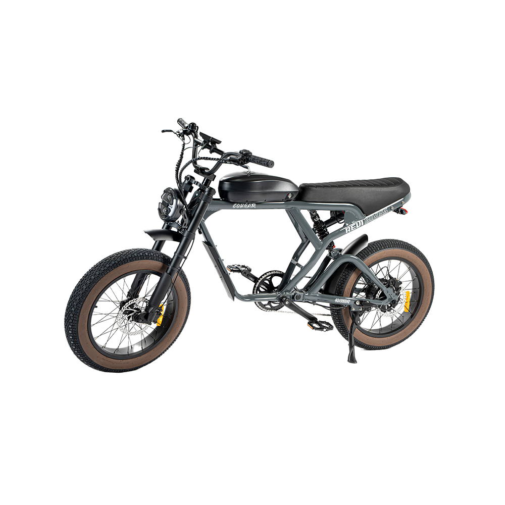 Roots Rider Cougar moped style fat tire electric bike product image