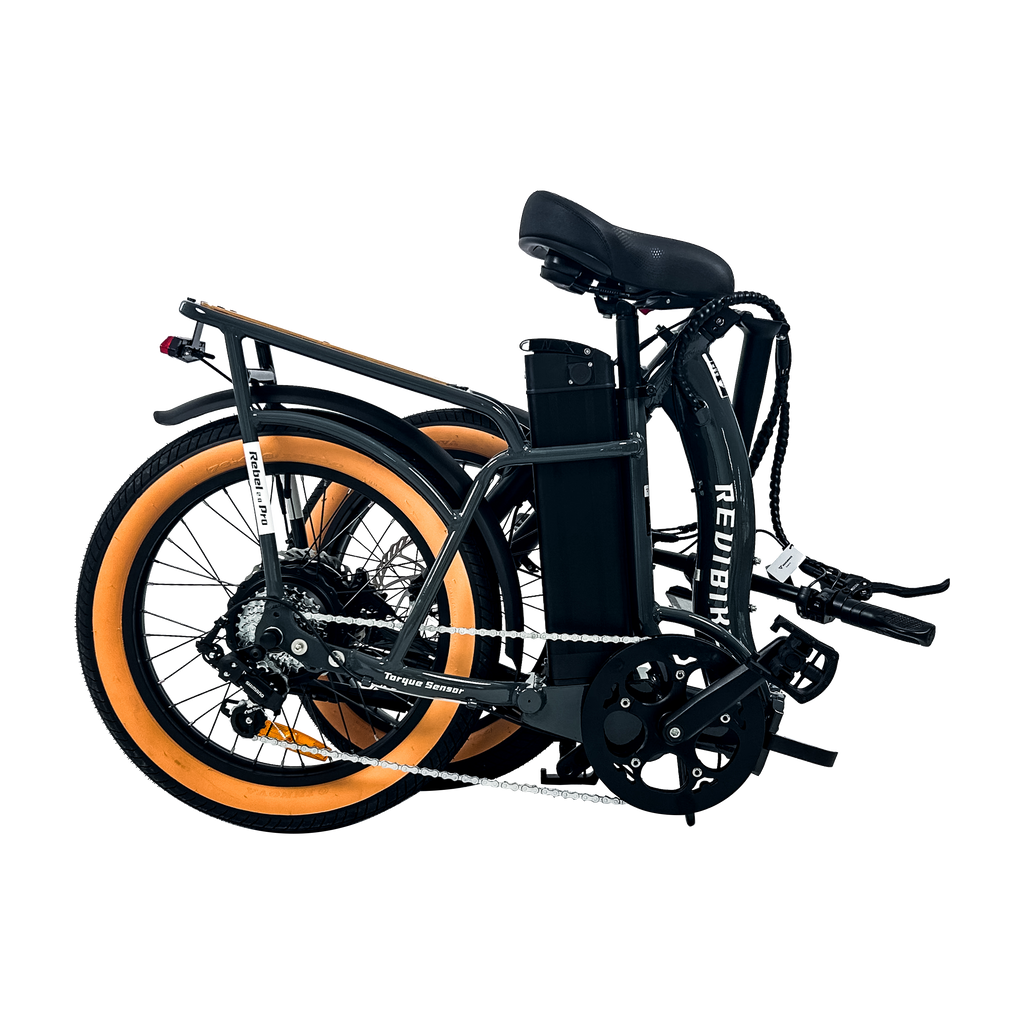 Roots Rider Rebel 2 Pro long range electric bike product image