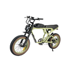 Roots Rider Cougar moped style fat tire electric bike product image