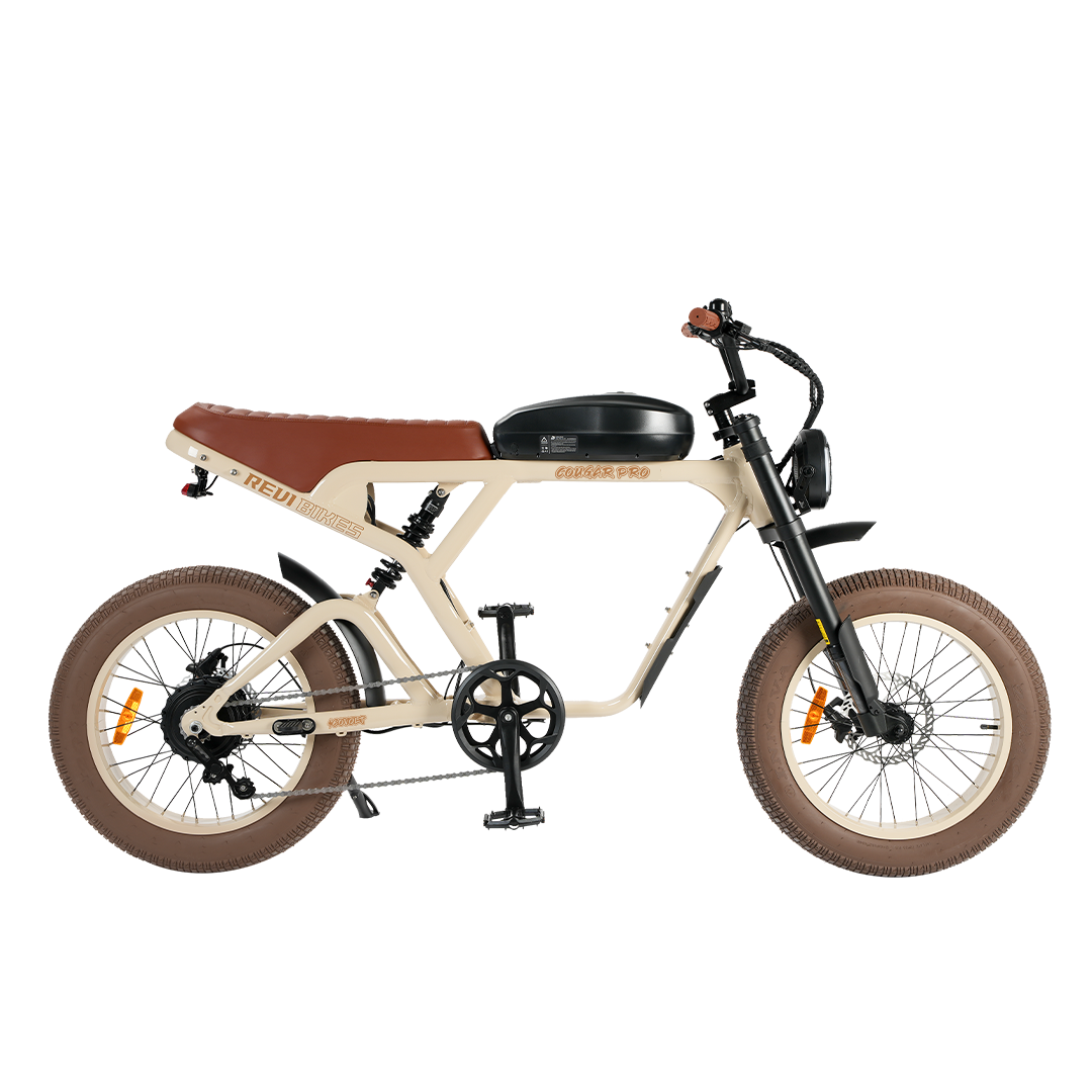 Roots Rider Cougar Pro 60V high performance electric bike product image