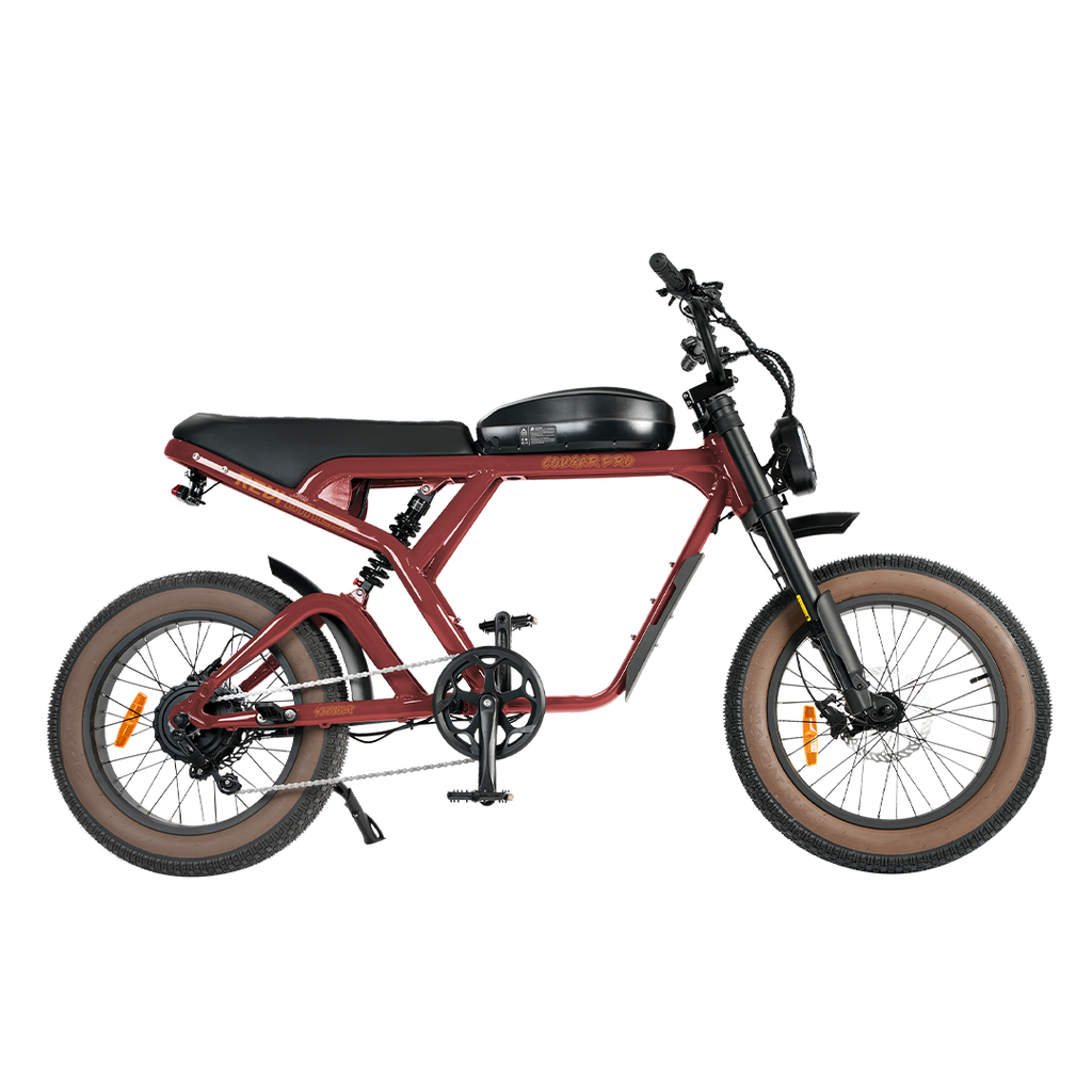 Roots Rider Cougar Pro 60V high performance electric bike product image