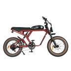 Roots Rider Cougar Pro 60V high performance electric bike product image