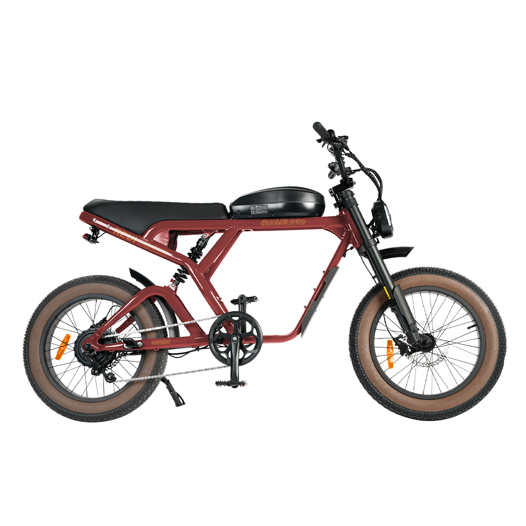 Roots Rider Cougar Pro 60V high performance electric bike product image